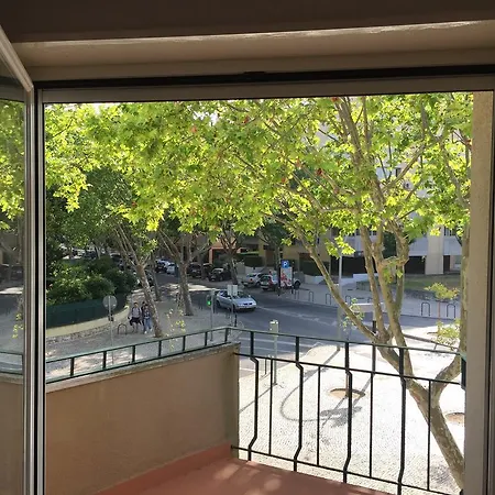Central Apartment